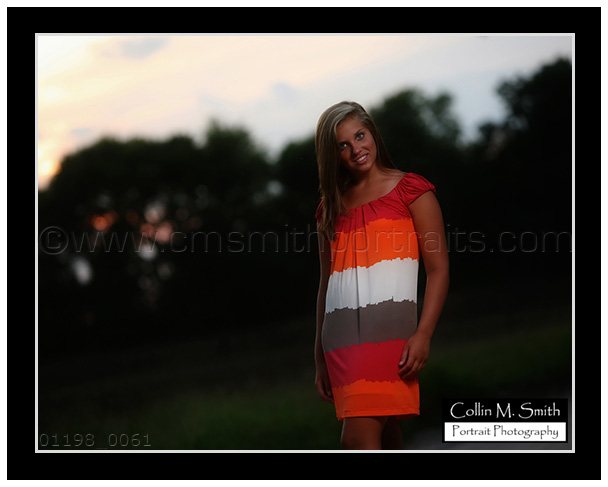 01198FB-061 01198FB-061